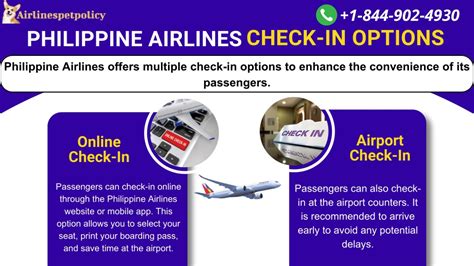 pal check in time|Check.